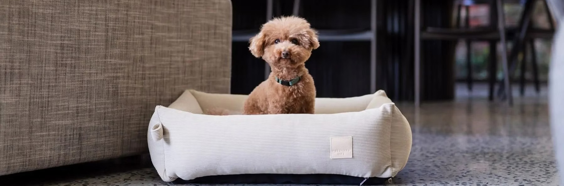 Fuzzyard 1 Fuzzyard -Fuzzyard 1