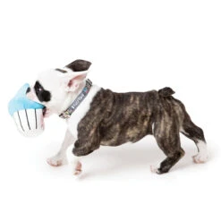 FuzzYard Soft Plush Dog Toy - Blue Cupcake - Large (17cm) -Fuzzyard 9345719001643A 1