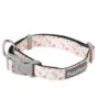 FuzzYard Dog Collar - Fab - Medium (20mm X 32-50cm) -Fuzzyard 9345719018016A