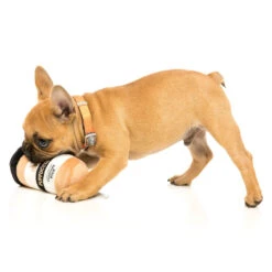 FuzzYard Soft Plush Dog Toy - Take Away Coffee - Large (15cm) -Fuzzyard 9345719020132A 1