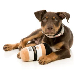 FuzzYard Soft Plush Dog Toy - Take Away Coffee - Large (15cm) -Fuzzyard 9345719020132A 2