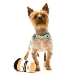 FuzzYard Soft Plush Dog Toy - Take Away Coffee - Large (15cm) -Fuzzyard 9345719020132A 3
