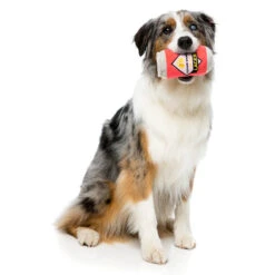 FuzzYard Soft Plush Dog Toy - Can Of Beer - Large (15cm) -Fuzzyard 9345719020163A 1