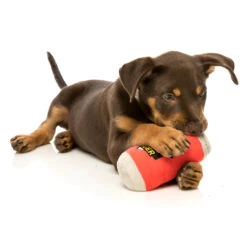 FuzzYard Soft Plush Dog Toy - Can Of Beer - Large (15cm) -Fuzzyard 9345719020163A 2