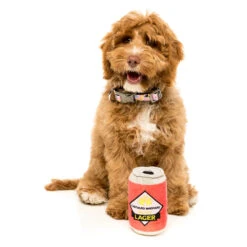 FuzzYard Soft Plush Dog Toy - Can Of Beer - Large (15cm) -Fuzzyard 9345719020163A 3