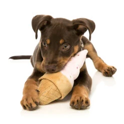 FuzzYard Soft Plush Dog Toy - Soft Serve Ice Cream - Large (21cm) -Fuzzyard 9345719020170A 3