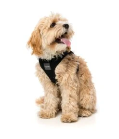 FuzzYard Step-In Dog Harness - Swat - XX-Small (34-36cm Neck - 39-41cm Chest) -Fuzzyard 9345719024581A 2