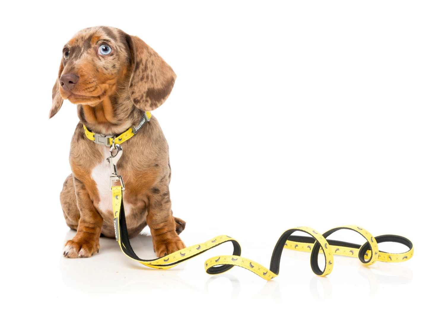 FuzzYard Dog Lead - Monkey Mania - X-Small (11mm X 120cm) 4 FuzzYard Dog Lead - Monkey Mania - X-Small (11mm X 120cm) - Image 2