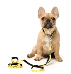 FuzzYard Dog Lead - Monkey Mania - X-Small (11mm X 120cm) 7 FuzzYard Dog Lead - Monkey Mania - X-Small (11mm X 120cm) -Fuzzyard 9345719024932A 2