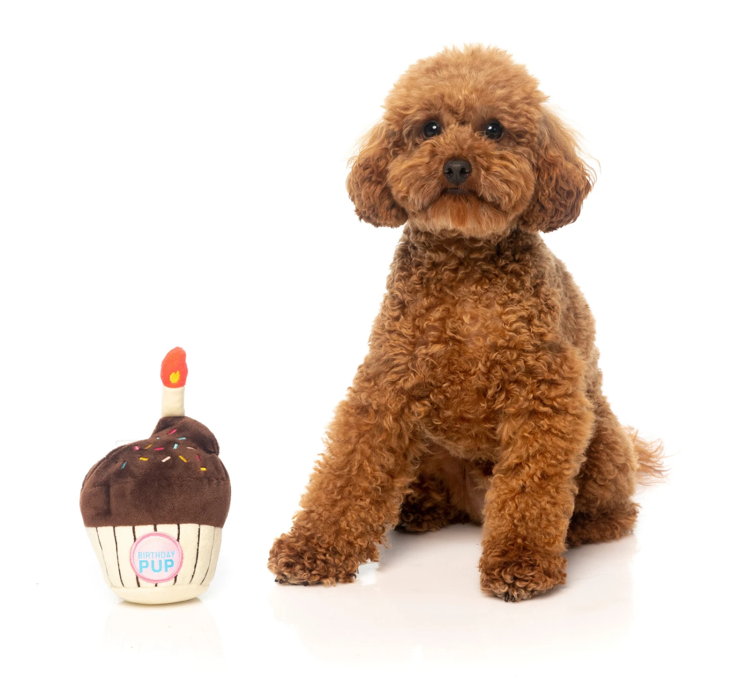 FuzzYard Soft Plush Dog Toy - Birthday Cupcake - Large (20cm) 5 FuzzYard Soft Plush Dog Toy - Birthday Cupcake - Large (20cm) - Image 3