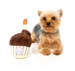 FuzzYard Soft Plush Dog Toy - Birthday Cupcake - Large (20cm) 9 FuzzYard Soft Plush Dog Toy - Birthday Cupcake - Large (20cm) -Fuzzyard 9345719031220A 3