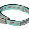 FuzzYard Dog Collar - Summer Punch - Small (15mm X 25-38cm) -Fuzzyard 9345719033088A