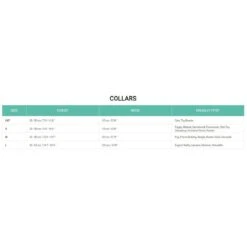 FuzzYard Dog Collar - Summer Punch - Small (15mm X 25-38cm) -Fuzzyard 9345719033088A 2