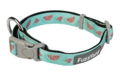 FuzzYard Dog Collar - Summer Punch - Small (15mm X 25-38cm)