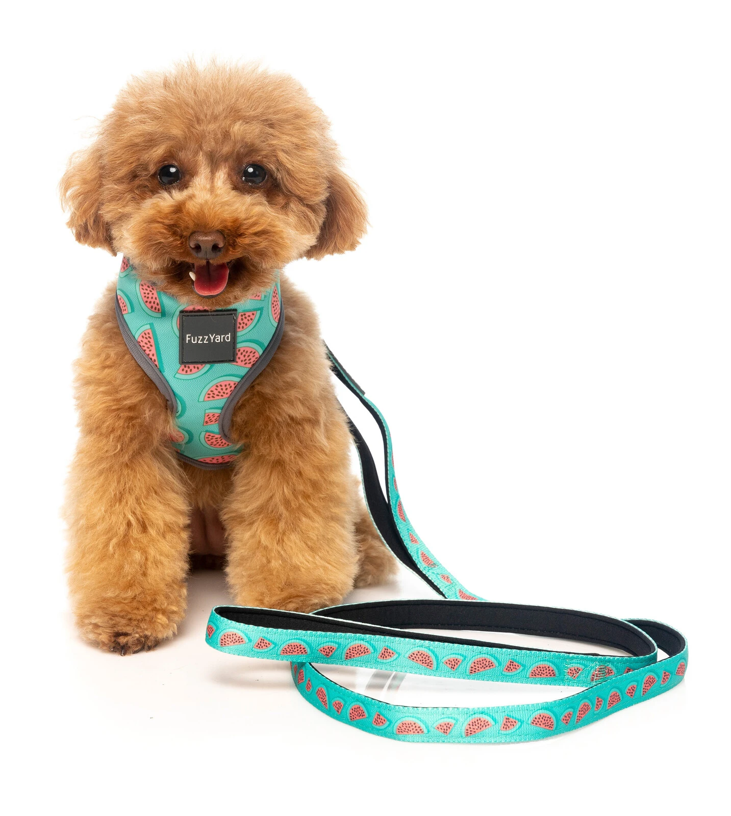 FuzzYard Dog Lead - Summer Punch - Large (25mm X 140cm) 4 FuzzYard Dog Lead - Summer Punch - Large (25mm X 140cm) - Image 2