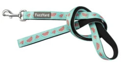 FuzzYard Dog Lead - Summer Punch - Large (25mm X 140cm)