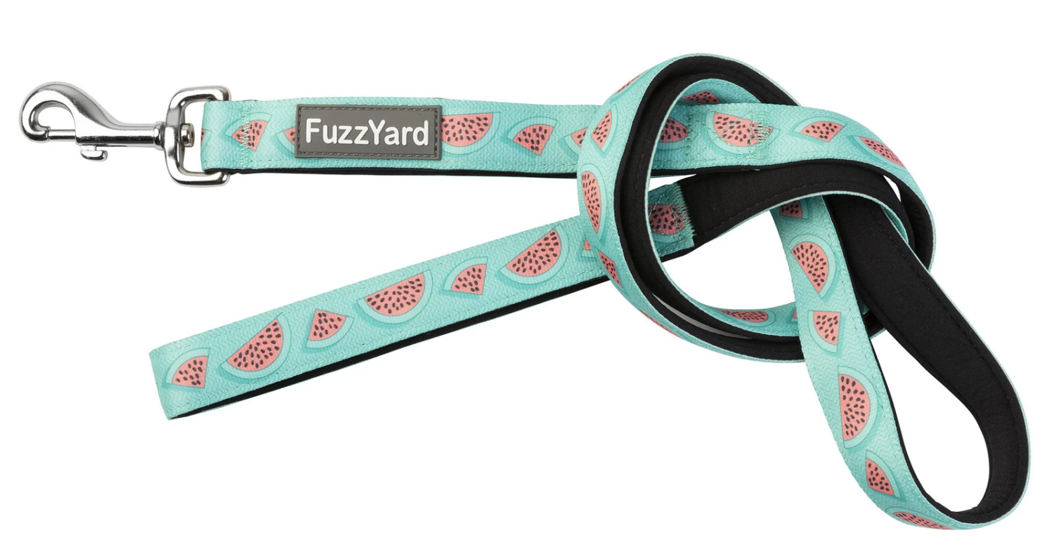 FuzzYard Dog Lead - Summer Punch - Large (25mm X 140cm) 3 FuzzYard Dog Lead - Summer Punch - Large (25mm X 140cm)