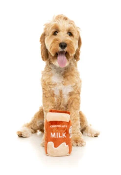 FuzzYard Soft Plush Dog Toy - Chocolate Almond Milk - Large (20cm) 7 FuzzYard Soft Plush Dog Toy - Chocolate Almond Milk - Large (20cm) -Fuzzyard 9345719033958A 1