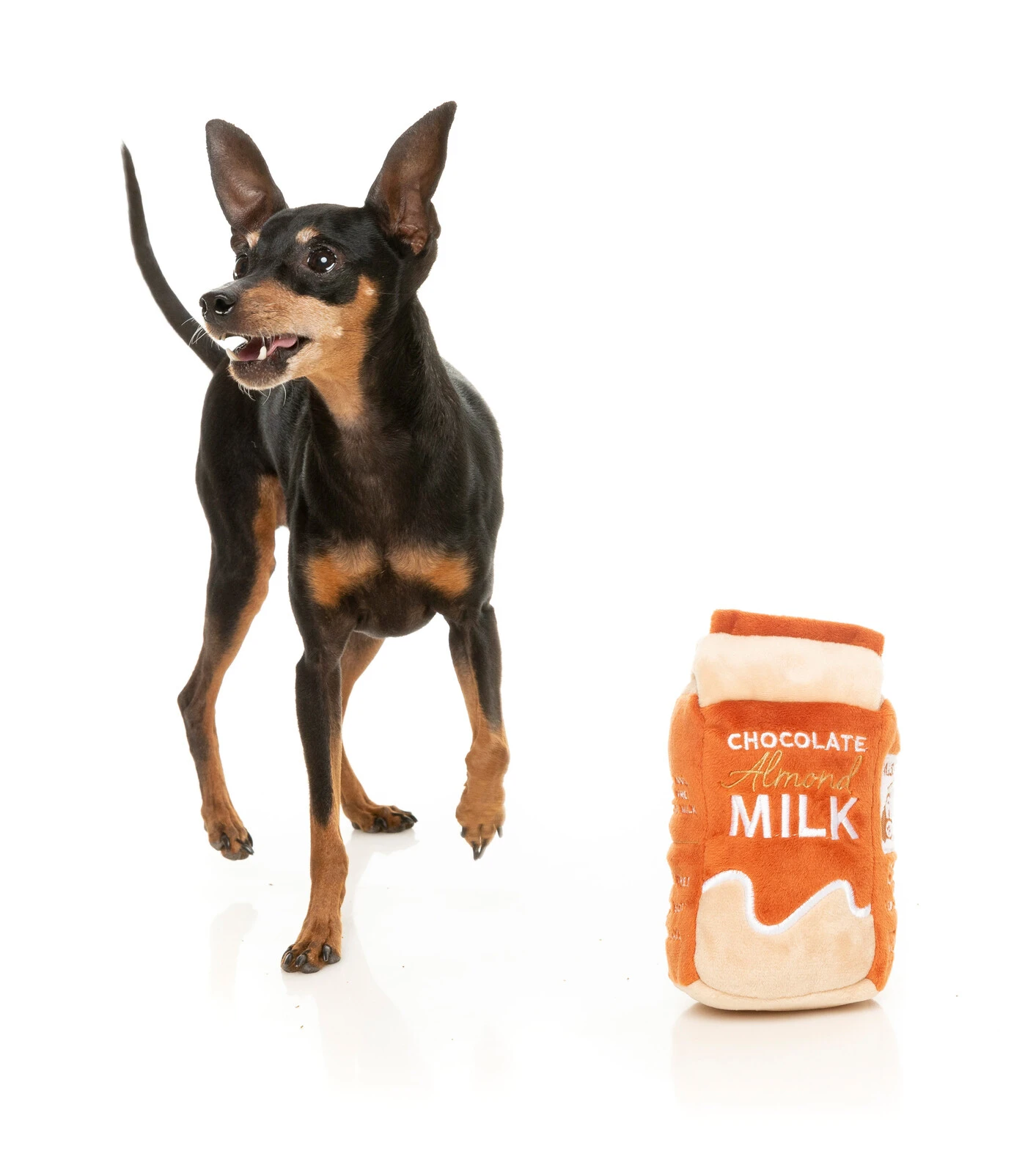 FuzzYard Soft Plush Dog Toy - Chocolate Almond Milk - Large (20cm) 5 FuzzYard Soft Plush Dog Toy - Chocolate Almond Milk - Large (20cm) - Image 3