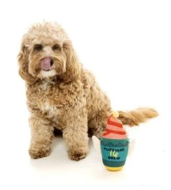 FuzzYard Christmas Elf Brew Dog Toy (17cm) -Fuzzyard 9345719036249A 2