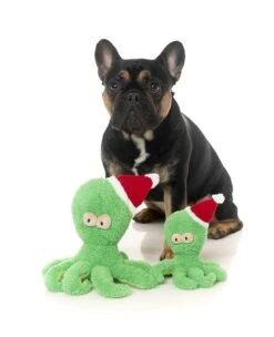 FuzzYard Christmas Sir Legs A Lot Octopus Soft Plush Dog Toy - Small (14cm) (Green) -Fuzzyard 9345719036423A 2