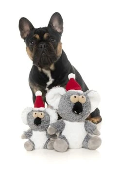 FuzzYard Christmas Kana The Koala Soft Plush Dog Toy - Large (20cm) -Fuzzyard 9345719036478A 2