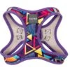 FuzzYard Step-In Dog Harness - Prism - Medium (44-46cm Neck - 52-54cm Chest)