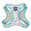 FuzzYard Step-In Dog Harness - Candy Hearts - XX-Small (34-36cm Neck - 39-41cm Chest) -Fuzzyard 9345719051921A