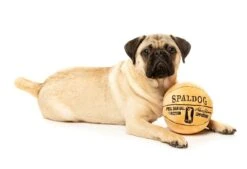 FuzzYard Spaldog Dog Toy - 13cm X 13cm -Fuzzyard 9345719054182A 1