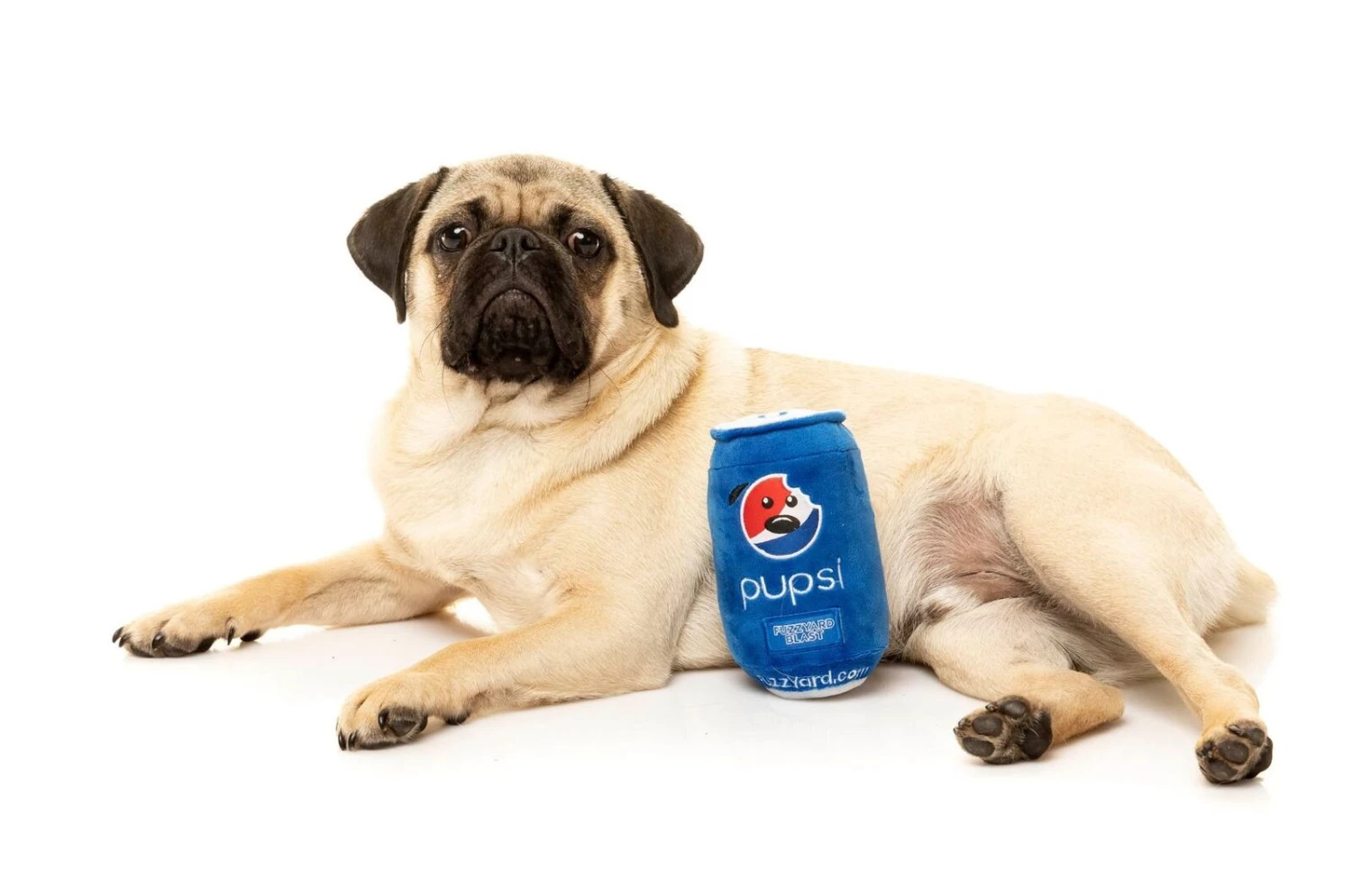 FuzzYard Pupsi Dog Toy - 15cm X 8cm X 8cm 4 FuzzYard Pupsi Dog Toy - 15cm X 8cm X 8cm - Image 2