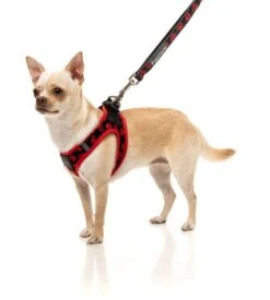 FuzzYard Step-In Dog Harness - Heartbreaker - XX-Small (34-36 Neck - 39-41cm Chest) 7 FuzzYard Step-In Dog Harness - Heartbreaker - XX-Small (34-36 Neck - 39-41cm Chest) -Fuzzyard 9345719064792A 2