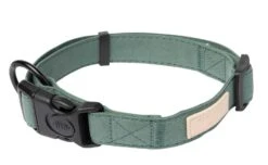 FuzzYard Life Dog Collar - Myrtle Green - X-Small (11mm X 22-35cm) 7 FuzzYard Life Dog Collar - Myrtle Green - X-Small (11mm X 22-35cm) -Fuzzyard 9345719070700A 2
