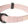 FuzzYard Life Dog Collar - Soft Blush - X-Small (11mm X 22-35cm) -Fuzzyard 9345719070847A