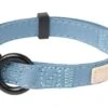 FuzzYard Life Dog Collar - French Blue - X-Small (11mm X 22-35cm) 2 FuzzYard Life Dog Collar - French Blue - X-Small (11mm X 22-35cm) -Fuzzyard 9345719070915A