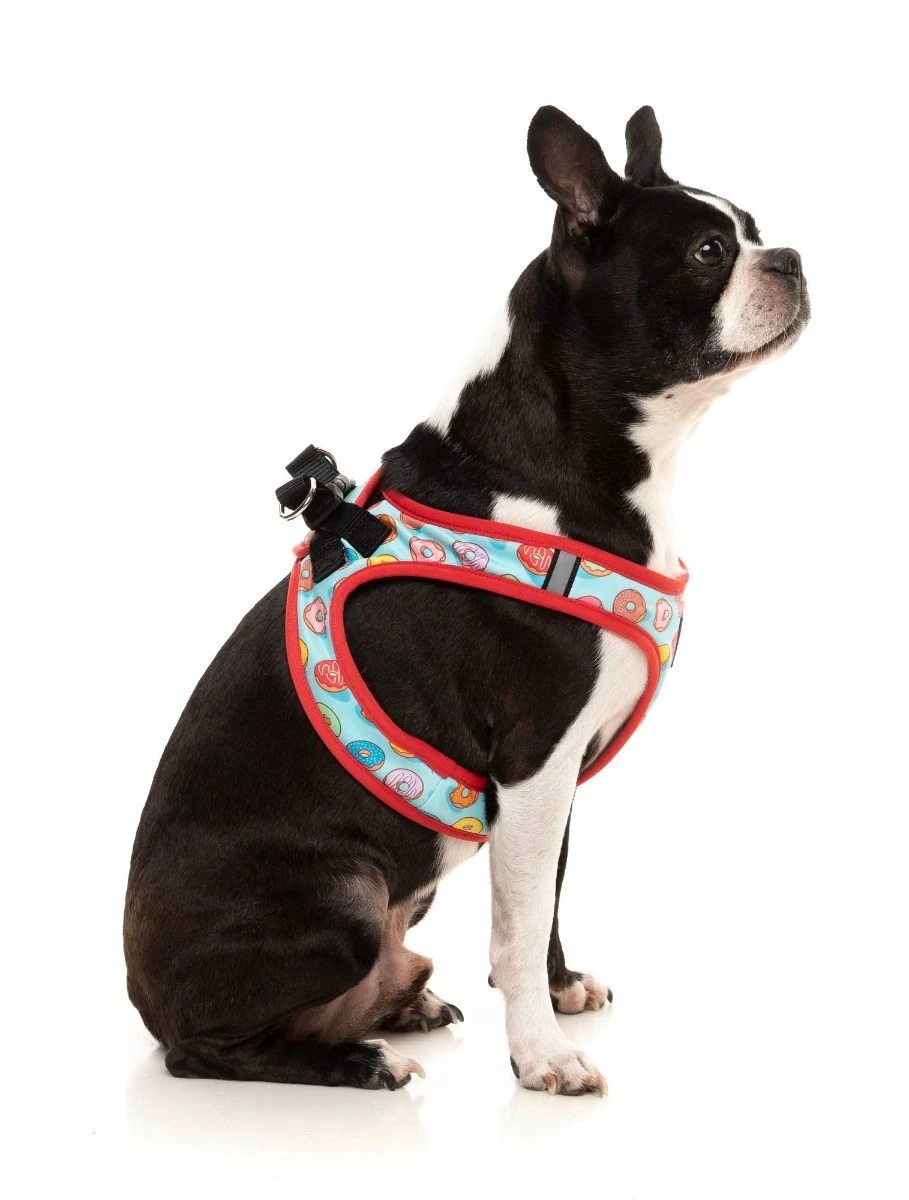 FuzzYard Step-In Dog Harness - You Drive Me Glazy - XX-Small (34-36 Neck - 39-41cm Chest) 5 FuzzYard Step-In Dog Harness - You Drive Me Glazy - XX-Small (34-36 Neck - 39-41cm Chest) - Image 3