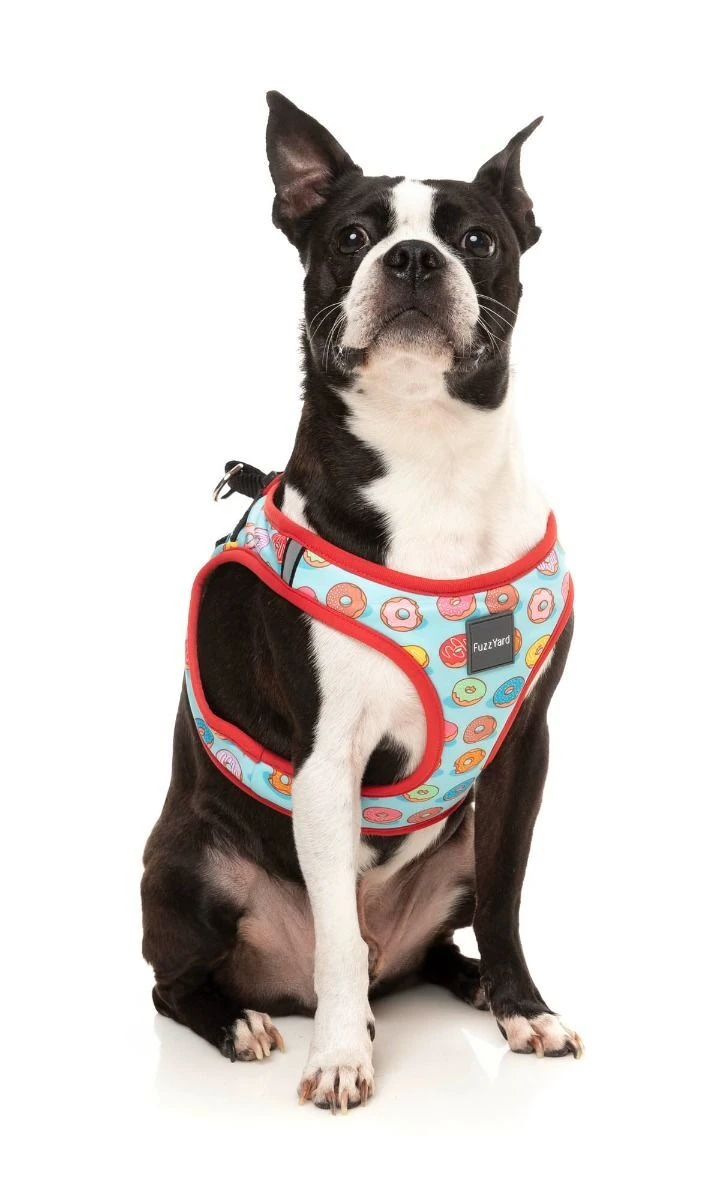 FuzzYard Step-In Dog Harness - You Drive Me Glazy - XX-Small (34-36 Neck - 39-41cm Chest) 6 FuzzYard Step-In Dog Harness - You Drive Me Glazy - XX-Small (34-36 Neck - 39-41cm Chest) - Image 4