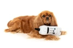 FuzzYard The Brick Dog Toy (25cm X 7cm) -Fuzzyard 9345719072049A 2