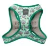 FuzzYard Step-In Dog Harness - Dreamtime Koalas - XX-Small (34-36 Neck - 39-41cm Chest) 2 FuzzYard Step-In Dog Harness - Dreamtime Koalas - XX-Small (34-36 Neck - 39-41cm Chest) -Fuzzyard 9345719072650A