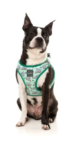 FuzzYard Step-In Dog Harness - Dreamtime Koalas - XX-Small (34-36 Neck - 39-41cm Chest) -Fuzzyard 9345719072650A 2
