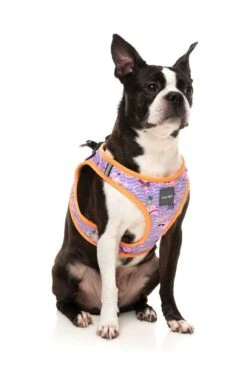 FuzzYard Step-In Dog Harness - Aloha Dolphins - XX-Small (34-36 Neck - 39-41cm Chest) -Fuzzyard 9345719072810A 2