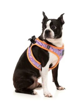 FuzzYard Step-In Dog Harness - Aloha Dolphins - XX-Small (34-36 Neck - 39-41cm Chest) -Fuzzyard 9345719072810A 3