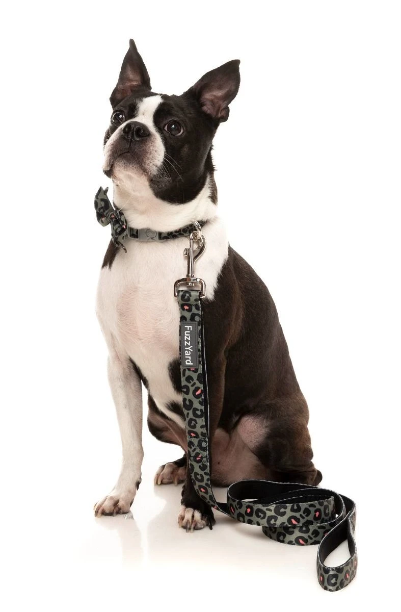 FuzzYard Dog Lead - Savanna - Small (15mm X 120cm) 4 FuzzYard Dog Lead - Savanna - Small (15mm X 120cm) - Image 2