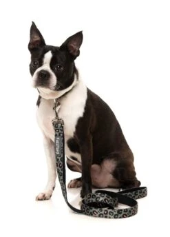 FuzzYard Dog Lead - Savanna - Small (15mm X 120cm) 8 FuzzYard Dog Lead - Savanna - Small (15mm X 120cm) -Fuzzyard 9345719072995A 2