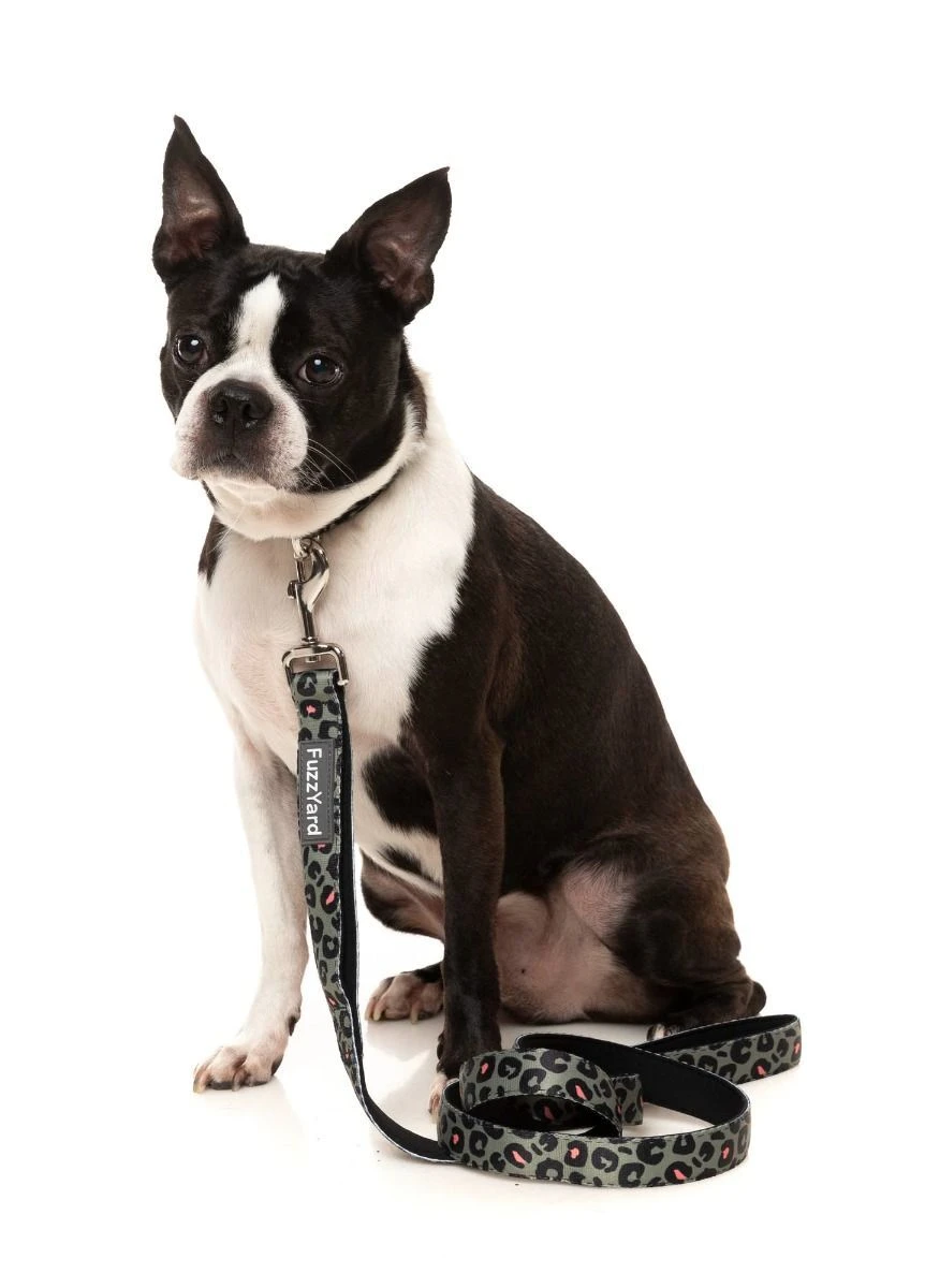 FuzzYard Dog Lead - Savanna - Small (15mm X 120cm) 5 FuzzYard Dog Lead - Savanna - Small (15mm X 120cm) - Image 3