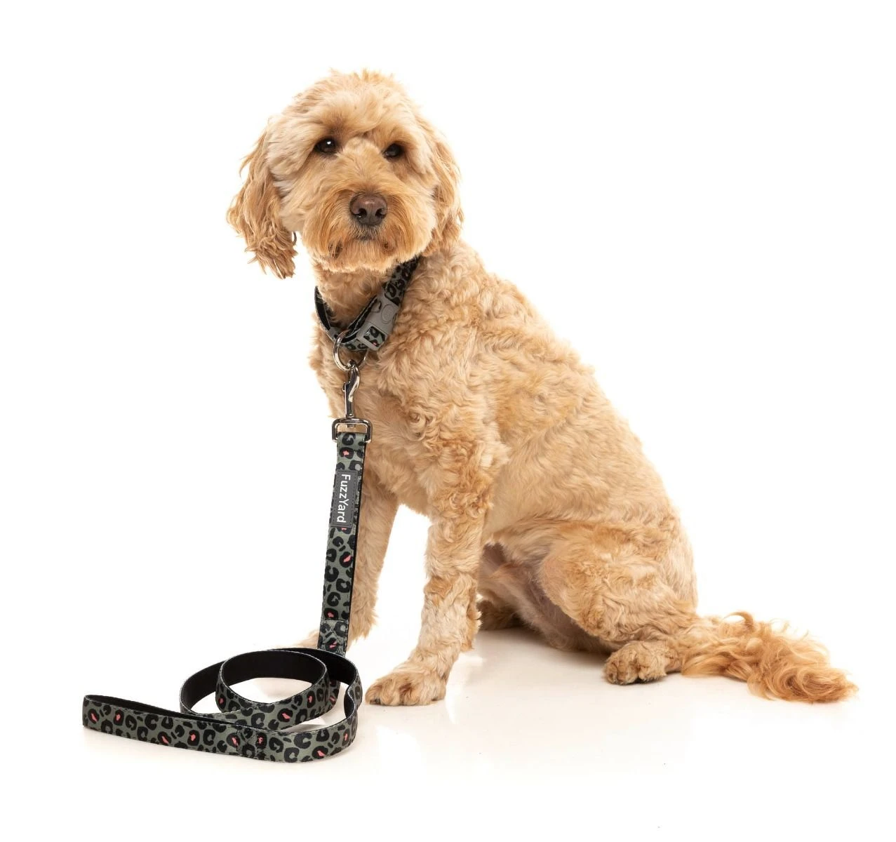 FuzzYard Dog Lead - Savanna - Small (15mm X 120cm) 6 FuzzYard Dog Lead - Savanna - Small (15mm X 120cm) - Image 4