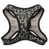 FuzzYard Step-In Dog Harness - Savanna - X-Small (40-42 Neck - 44-46cm Chest) -Fuzzyard 9345719073077A
