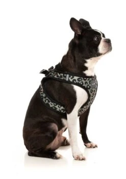 FuzzYard Step-In Dog Harness - Savanna - X-Small (40-42 Neck - 44-46cm Chest) -Fuzzyard 9345719073077A 2