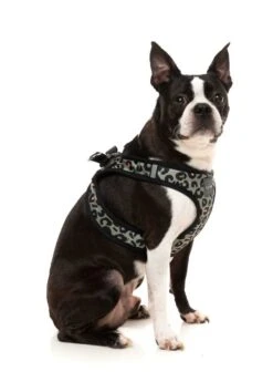 FuzzYard Step-In Dog Harness - Savanna - X-Small (40-42 Neck - 44-46cm Chest) -Fuzzyard 9345719073077A 3