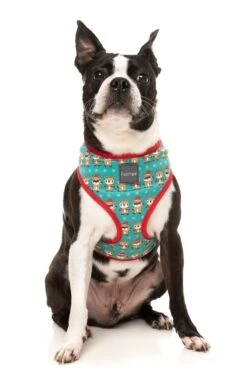 FuzzYard Disco Deers Christmas Harness - X-Small (22cm Neck - 25-32cm Chest) -Fuzzyard 9345719074548A 2
