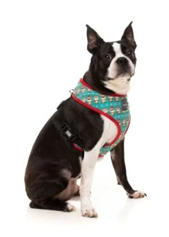 FuzzYard Disco Deers Christmas Harness - X-Small (22cm Neck - 25-32cm Chest) -Fuzzyard 9345719074548A 3